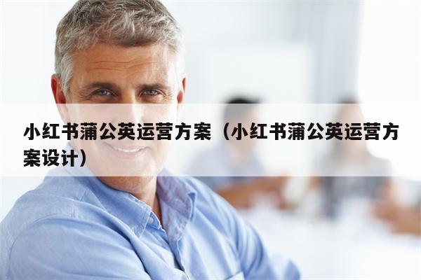 小红书蒲公英运营方案（小红书蒲公英运营方案设计）