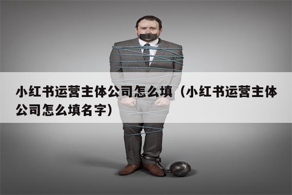 小红书运营主体公司怎么填（小红书运营主体公司怎么填名字）