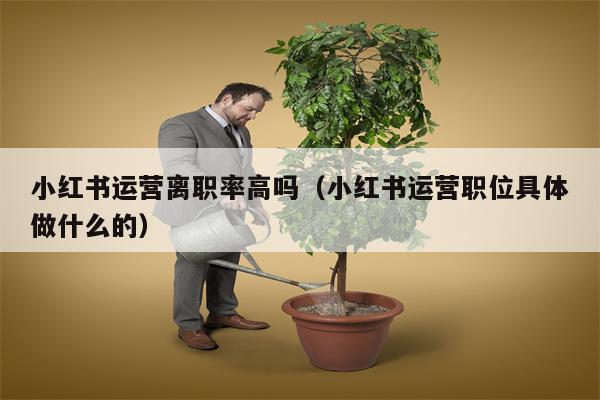 小红书运营离职率高吗（小红书运营职位具体做什么的）