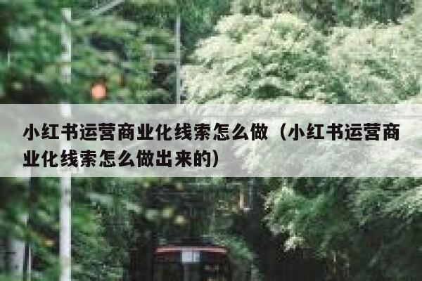 小红书运营商业化线索怎么做（小红书运营商业化线索怎么做出来的）