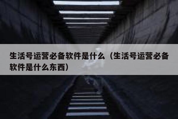 生活号运营必备软件是什么（生活号运营必备软件是什么东西）