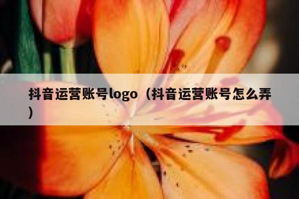 抖音运营账号logo（抖音运营账号怎么弄）