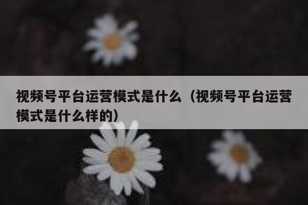 视频号平台运营模式是什么（视频号平台运营模式是什么样的）