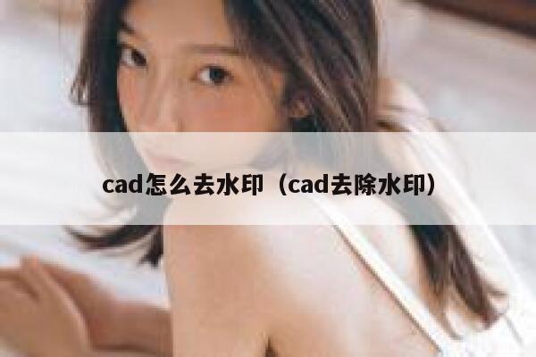 cad怎么去水印（cad去除水印）