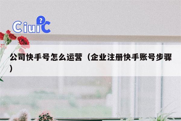 公司快手号怎么运营（企业注册快手账号步骤）