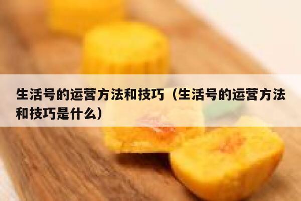 生活号的运营方法和技巧（生活号的运营方法和技巧是什么）