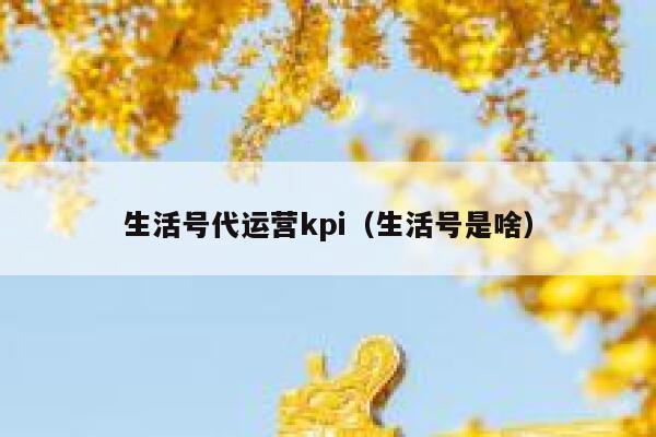 生活号代运营kpi（生活号是啥）