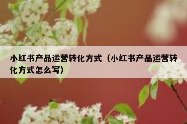 小红书产品运营转化方式（小红书产品运营转化方式怎么写）