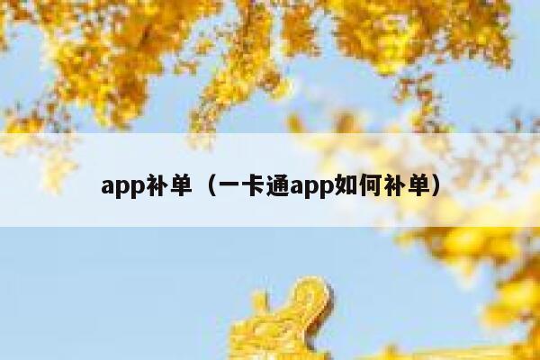 app补单（一卡通app如何补单）