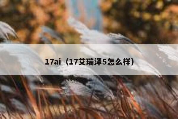 17ai（17艾瑞泽5怎么样）