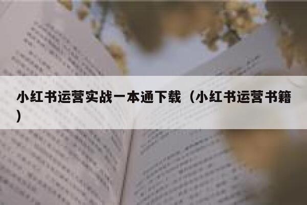 小红书运营实战一本通下载（小红书运营书籍）