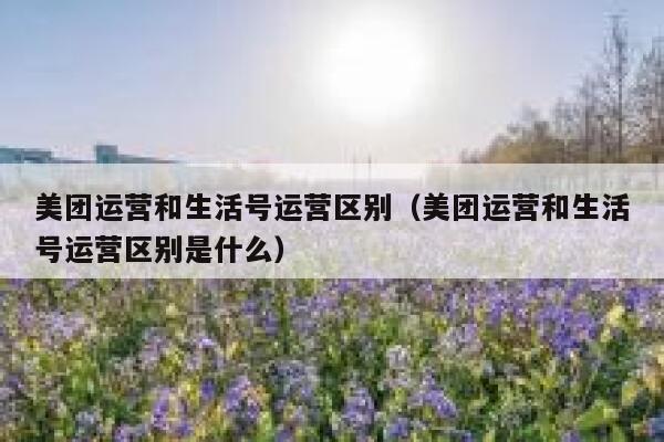 美团运营和生活号运营区别（美团运营和生活号运营区别是什么）