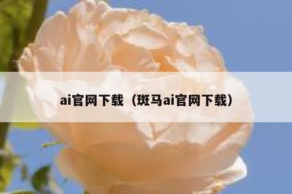 ai官网下载（斑马ai官网下载）