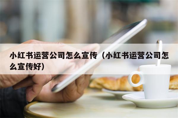 小红书运营公司怎么宣传（小红书运营公司怎么宣传好）