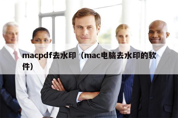 macpdf去水印（mac电脑去水印的软件）