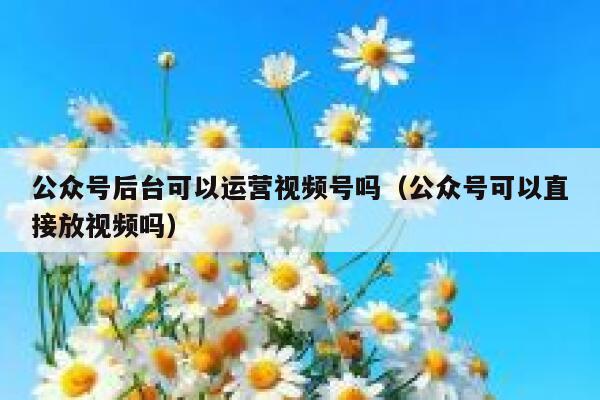 公众号后台可以运营视频号吗（公众号可以直接放视频吗）