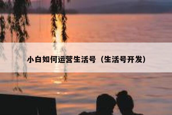 小白如何运营生活号（生活号开发）