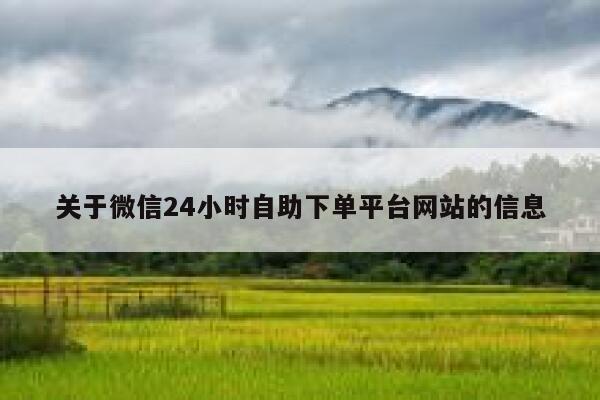 关于微信24小时自助下单平台网站的信息