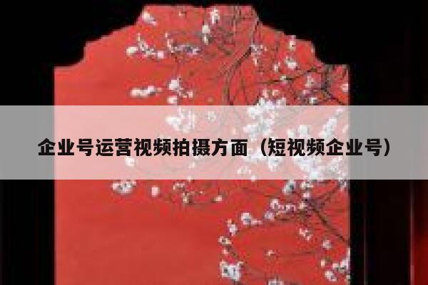 企业号运营视频拍摄方面（短视频企业号）