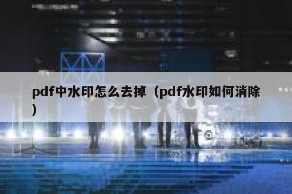 pdf中水印怎么去掉（pdf水印如何消除）