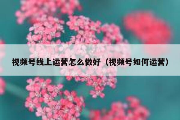 视频号线上运营怎么做好（视频号如何运营）