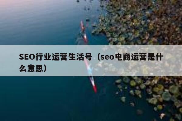 SEO行业运营生活号（seo电商运营是什么意思）