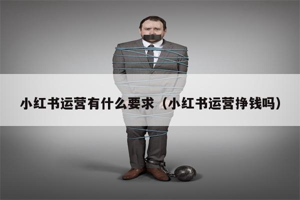 小红书运营有什么要求（小红书运营挣钱吗）