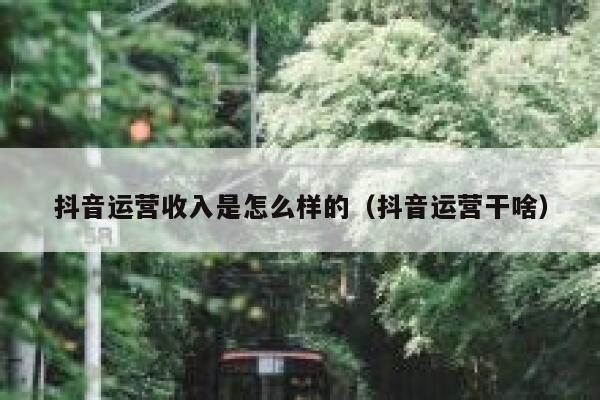 抖音运营收入是怎么样的（抖音运营干啥）