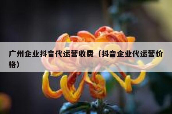 广州企业抖音代运营收费（抖音企业代运营价格）