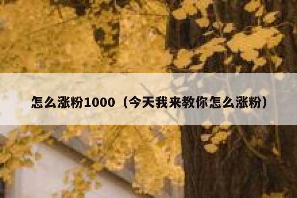 怎么涨粉1000（今天我来教你怎么涨粉）