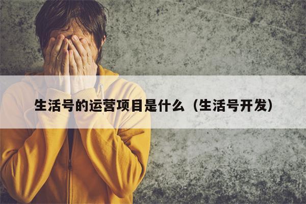 生活号的运营项目是什么（生活号开发）