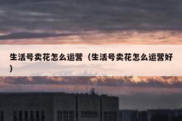 生活号卖花怎么运营（生活号卖花怎么运营好）