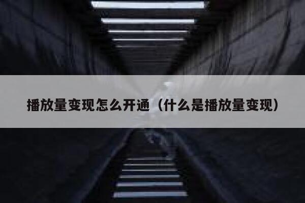 播放量变现怎么开通（什么是播放量变现）