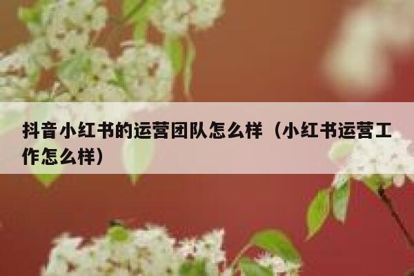 抖音小红书的运营团队怎么样（小红书运营工作怎么样）