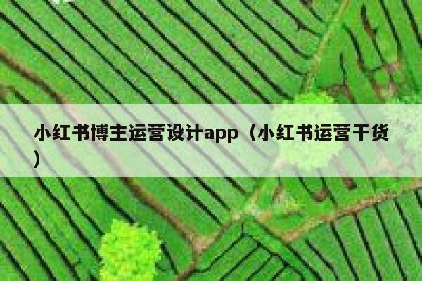 小红书博主运营设计app（小红书运营干货）