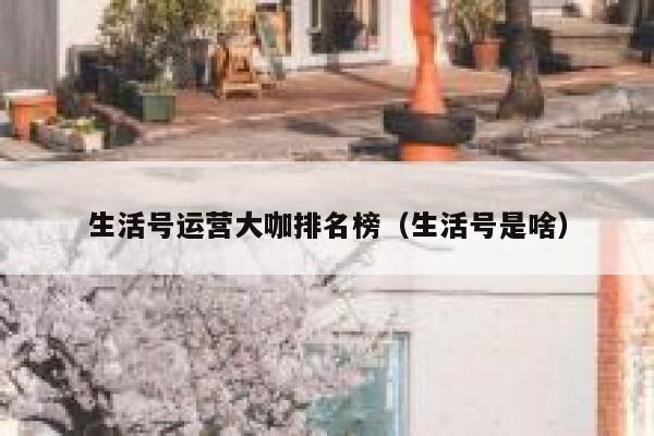 生活号运营大咖排名榜（生活号是啥）