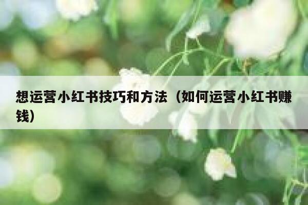 想运营小红书技巧和方法（如何运营小红书赚钱）