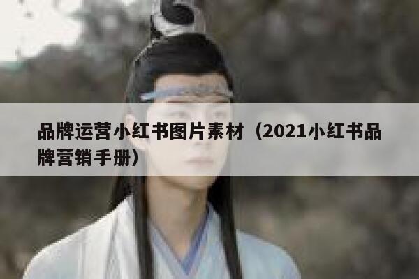 品牌运营小红书图片素材（2021小红书品牌营销手册）