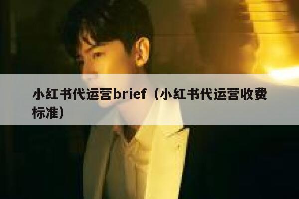 小红书代运营brief（小红书代运营收费标准）