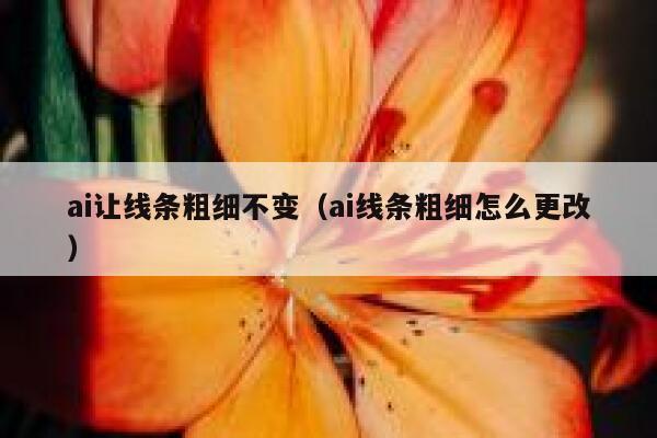 ai让线条粗细不变（ai线条粗细怎么更改）