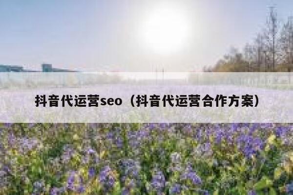 抖音代运营seo（抖音代运营合作方案）