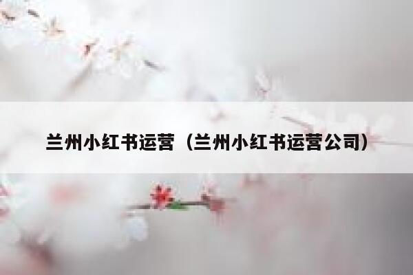 兰州小红书运营（兰州小红书运营公司）