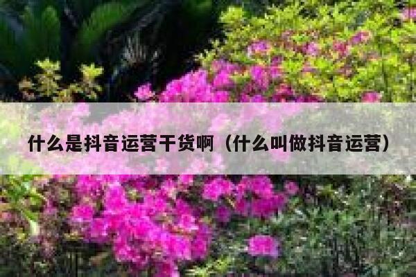 什么是抖音运营干货啊（什么叫做抖音运营）