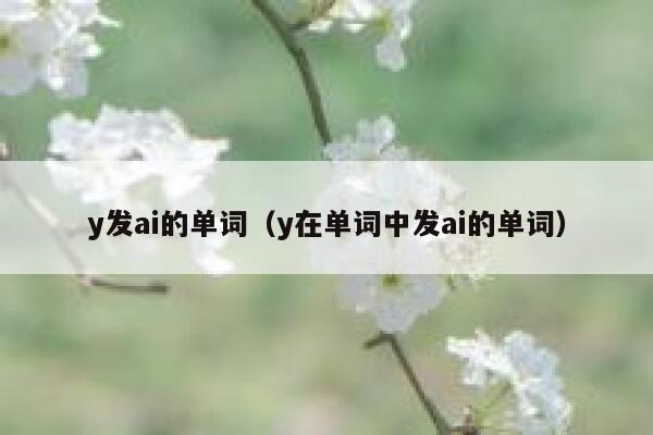 y发ai的单词（y在单词中发ai的单词）