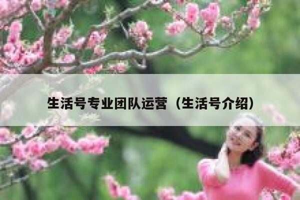 生活号专业团队运营（生活号介绍）