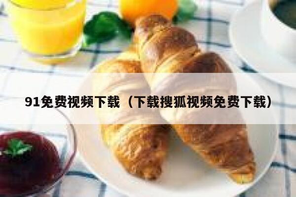 91免费视频下载（下载搜狐视频免费下载）