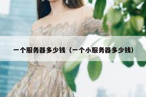 一个服务器多少钱（一个小服务器多少钱）