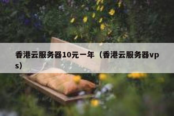 香港云服务器10元一年（香港云服务器vps）