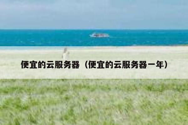 便宜的云服务器（便宜的云服务器一年）