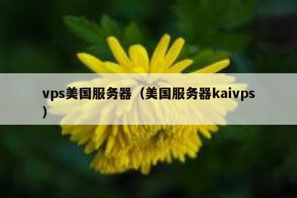 vps美国服务器（美国服务器kaivps）